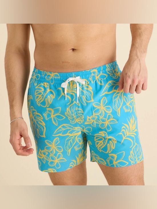 chubbies Other - Chubbies The Arboretum Lined Classic Swim Trunk